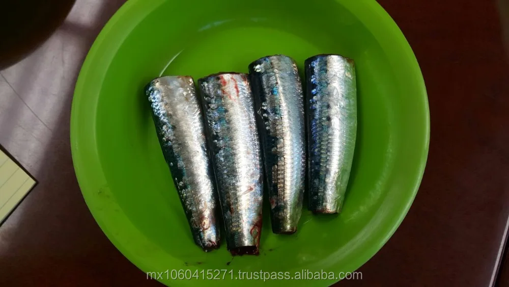 
PACIFIC SARDINE 