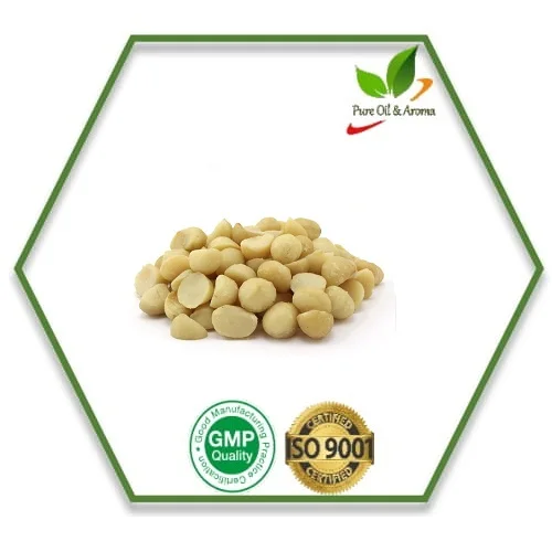 Wholesale Aromatherapy Pure Natural Macadamia Carrier Oil