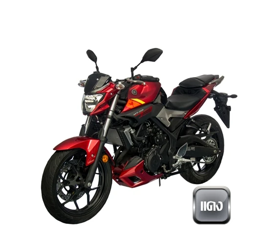 Gas Motorcycle 321CC Yamahx-Yamahx MT 03
