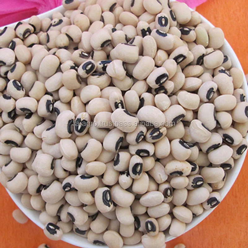 
GRAIN Organic Dried Cheap price white beans black eye for sale 