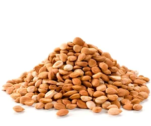 
Apricot Kernel Seeds Core 