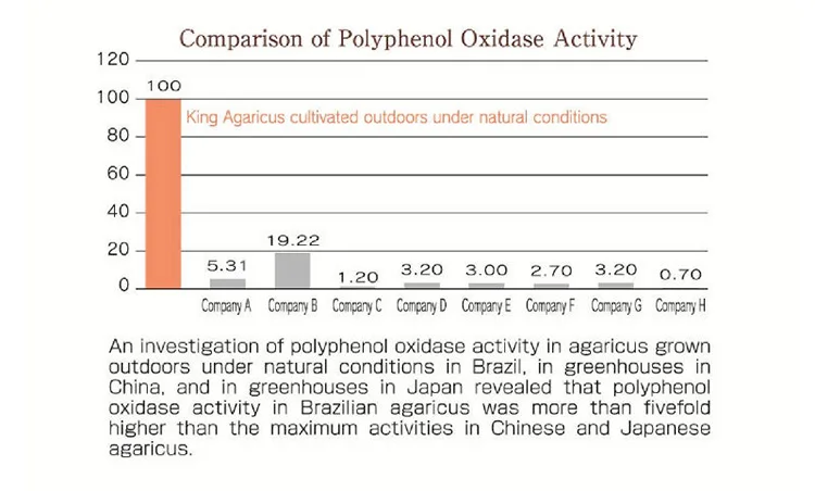 Natural Herbs Powder Supplement For People Searching Senna Laxative
