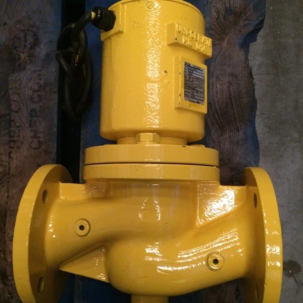 RMG Solenoid Gas Valve 01-EVA 25 NH-4 (DN65 PN16)