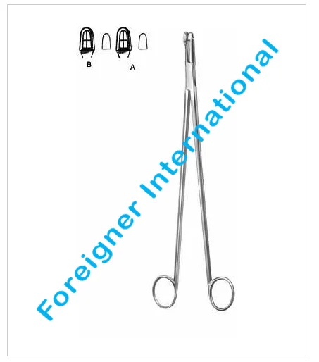 Stainless Steel Single use Oral Biopsy Forceps high quality