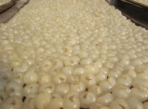 Fresh longan / Dried longan from Vietnam /Holiday