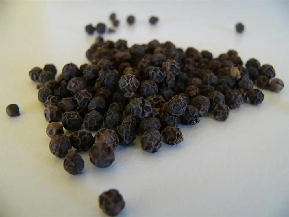 Vietnam Best Seller Black Pepper 5MM Bold VIETNAM FACTORY PRICE HIGH QUALITY  WhatsApps 0084374074818