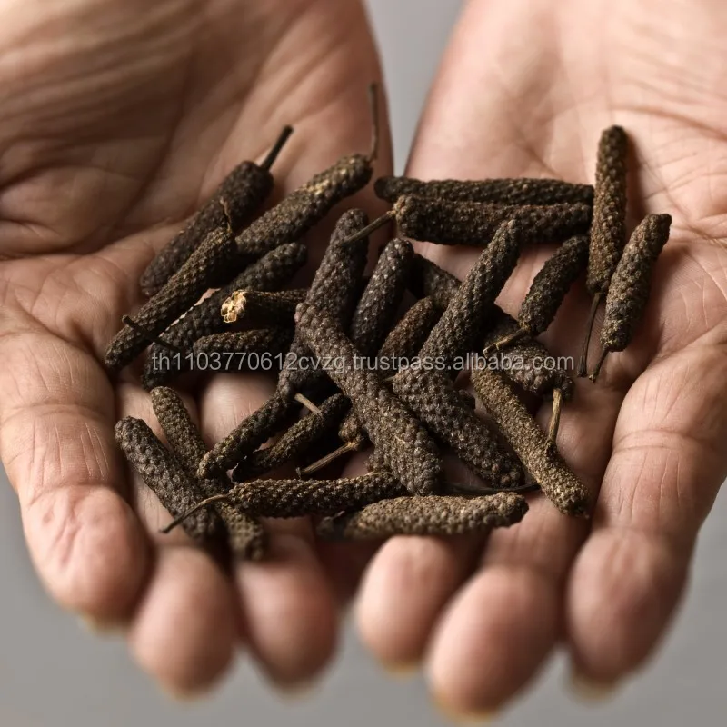 Long Pepper High Quality 100 % Natural Product of Thailand