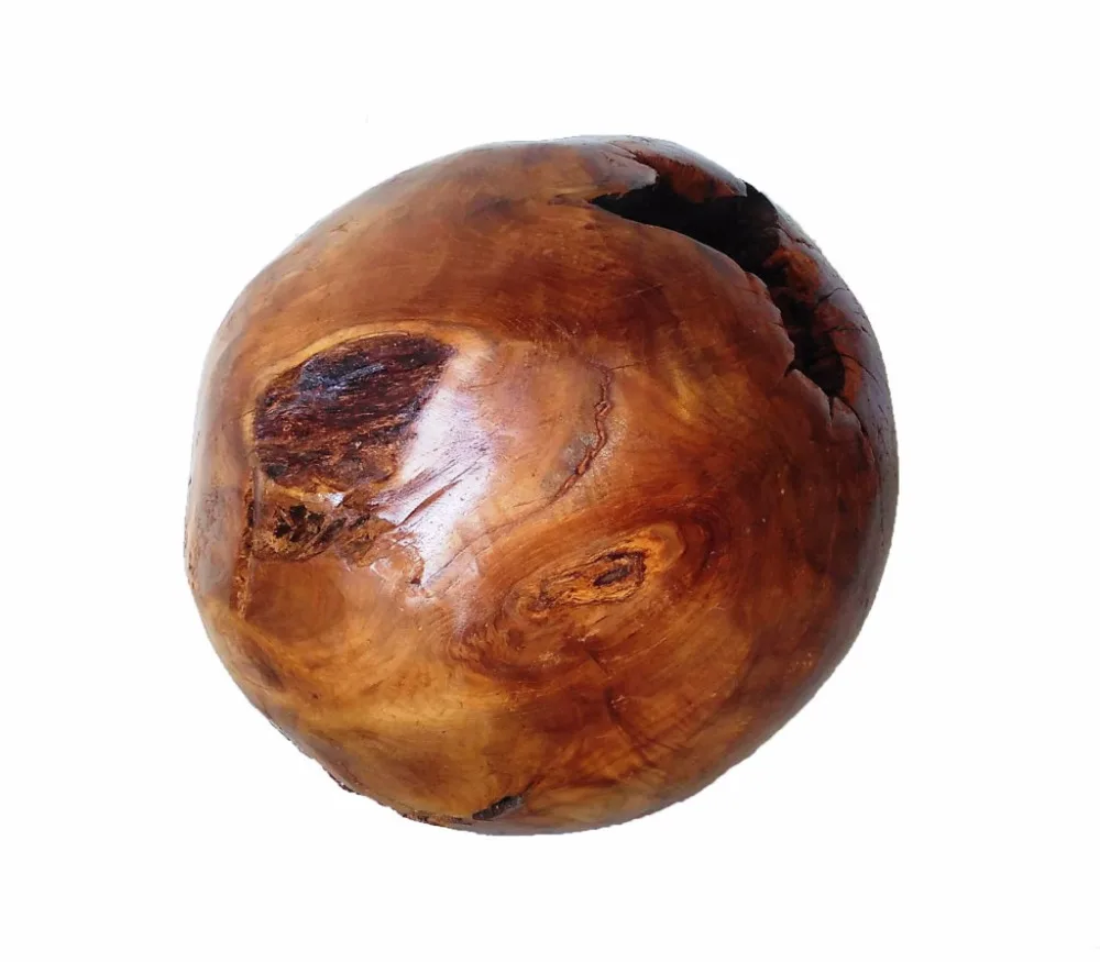 TEAK ROOT BALL