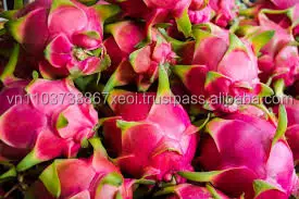 VIETNAM DRAGON FRUIT.