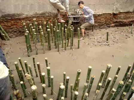 Bamboo pole for building, bamboo poles best quality (Whatsapp: 84 845639639 -  Ms Holiday )