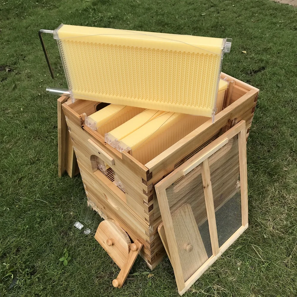 Chinese Brand automatic hive beehive honey auto frame bee hive