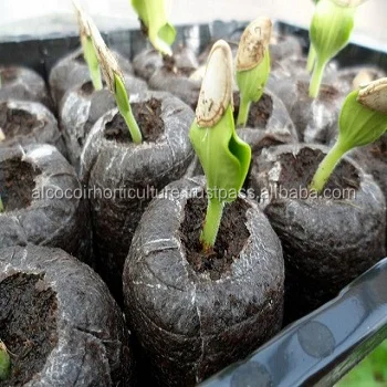 COIR PLUGS GROWING MEDIUM