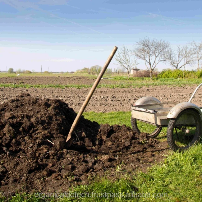 Organic and eco-friendly Bacteria compost preparation from agricultural waste