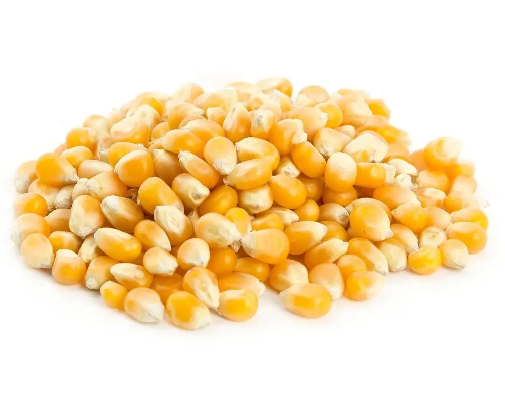 Ядра попкорна с грибами, желтый попкорн, желтые ядра попкорна