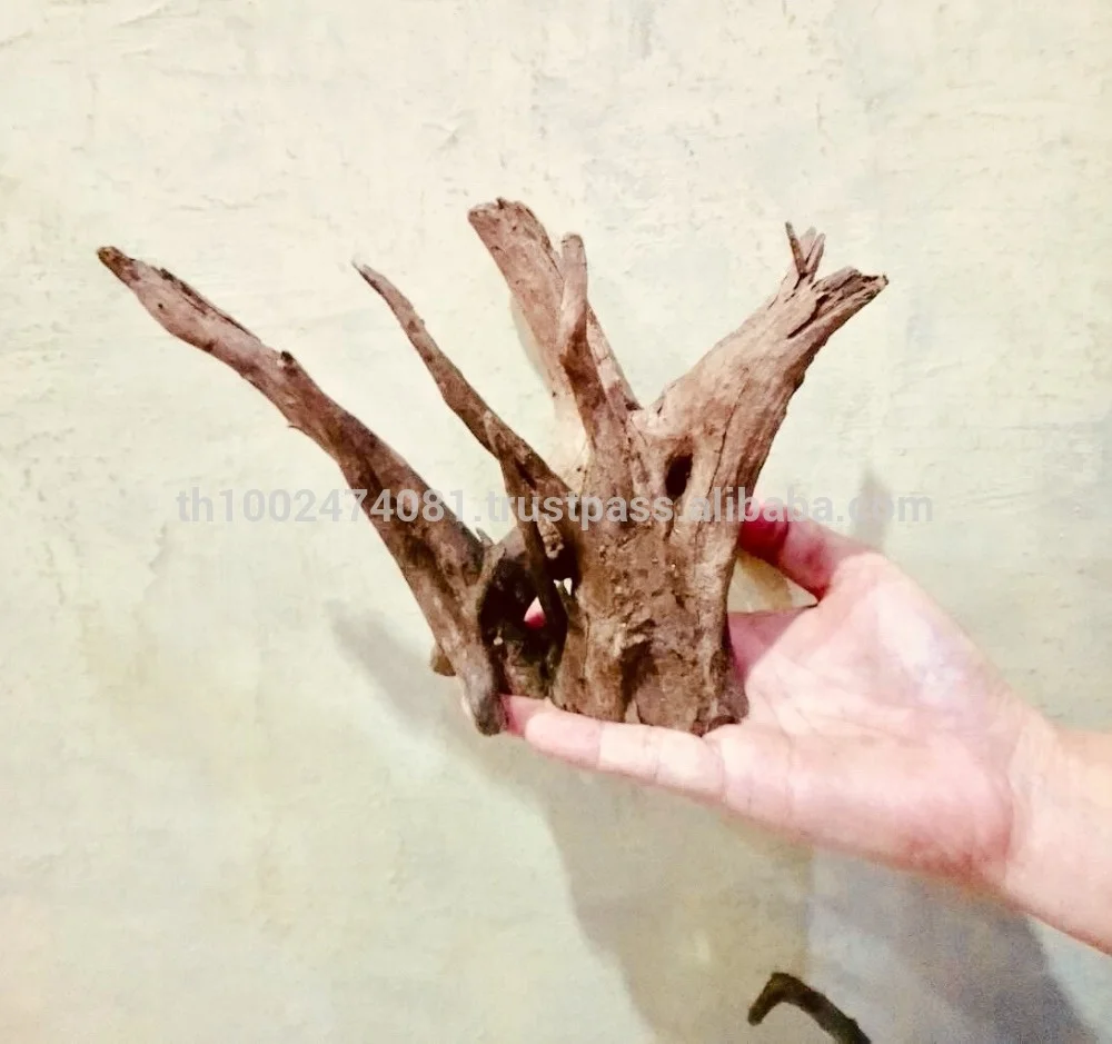 Thailand Driftwood, Small Aquarium Driftwood, Fish Tank Natural Aquarium Accessories