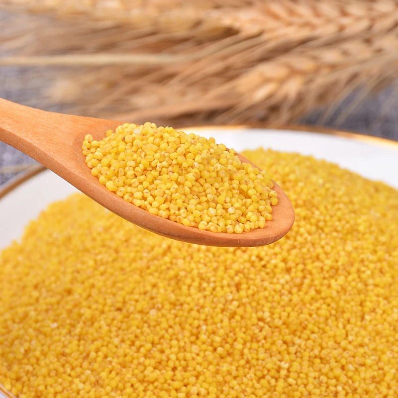
Organic Yellow Hulled Millet Grain / Seed 