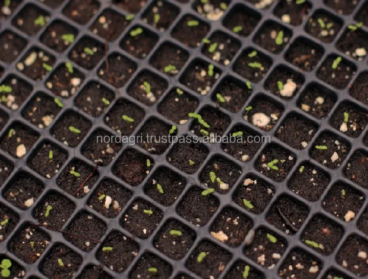 Seed tray peat moss substrate