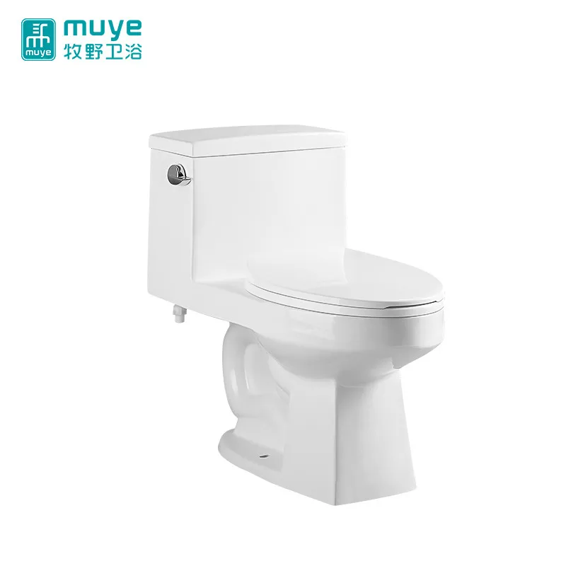 
Latest Product Attractive Style High Efficiency S-Trap Best Toilets To Buy 