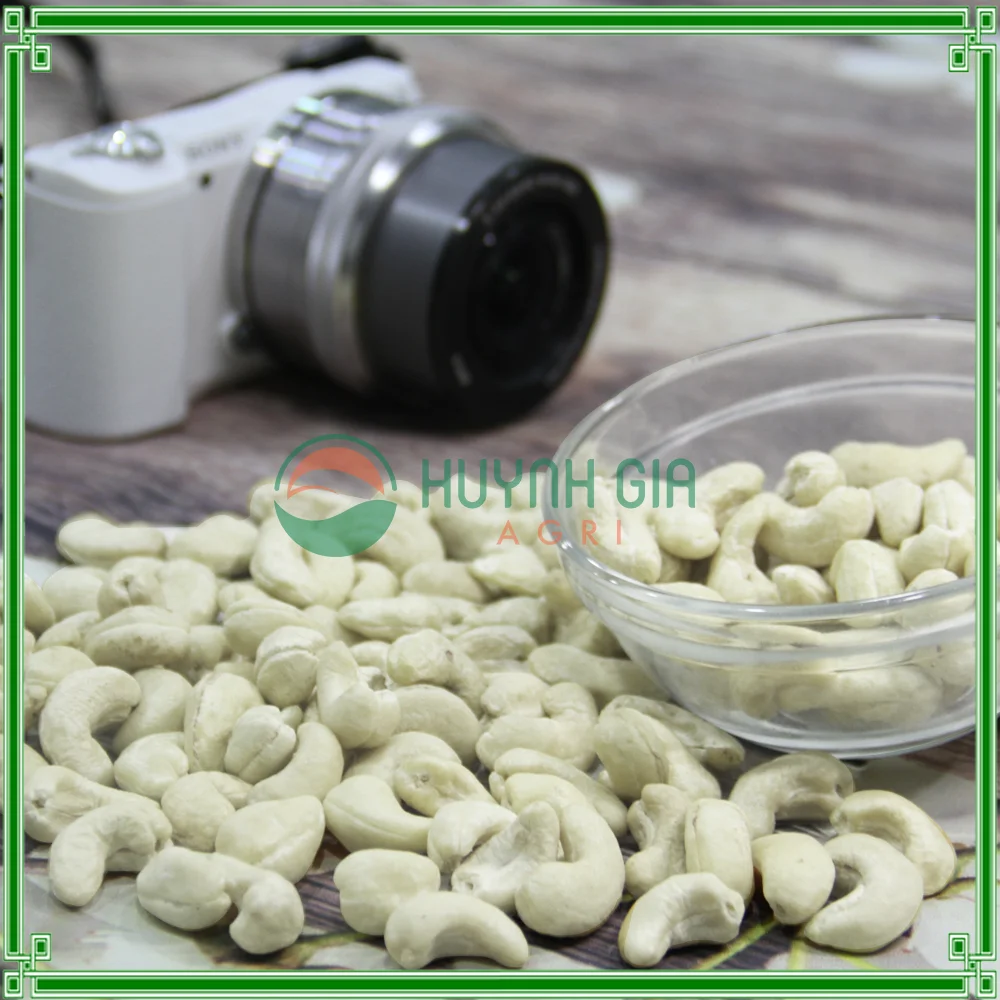 
CASHEW NUTS KERNEL WW320/CASHEW NUTS PRICE 
