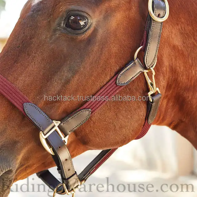 HORSE Deluxe Leather size /Horse Horse Leather Bridle/Lovely and Higher Quality ROLLED Brown Leather In Hand Arabian Show Halter