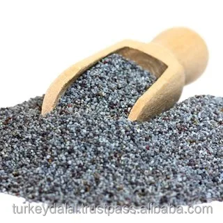 Turkish Blue Poppy Seeds