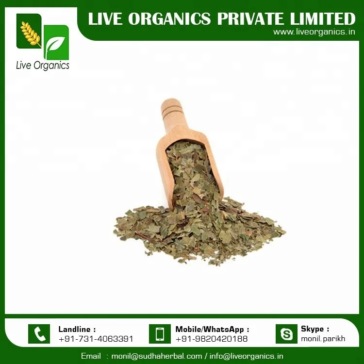 Organic Neem Leaf at Affordable Price