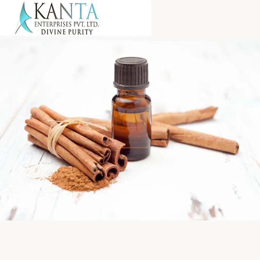 Premium Grade Material Cinnamon Bark Extract Oil Helps in Virus Eliminating Buy at Less Market Price