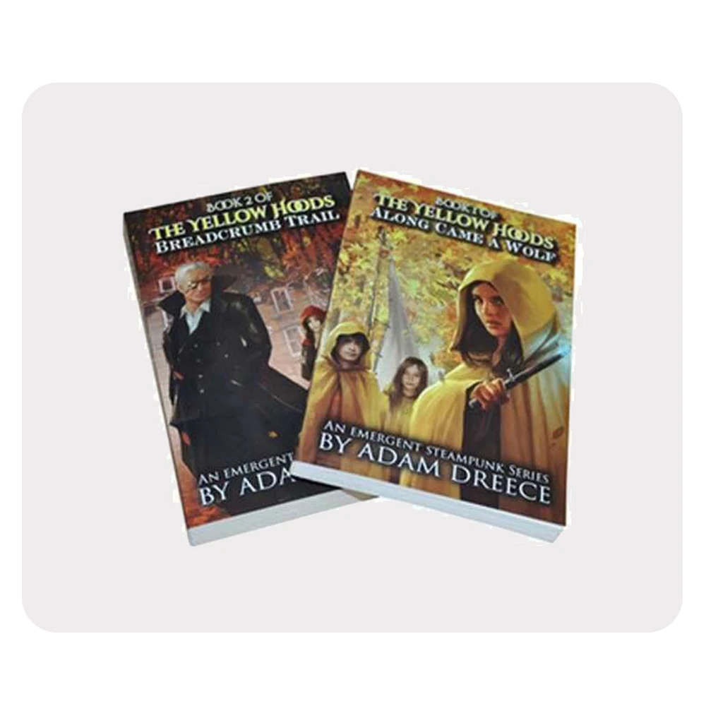 Private Label Best Price Softcover Book Printing Service Bulk Order Story Book Printing in Gloss and Matt Lamination Cover