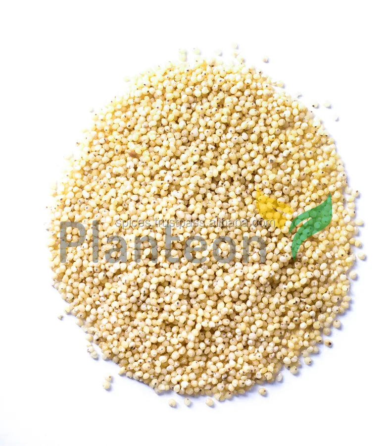 Yellow Millet