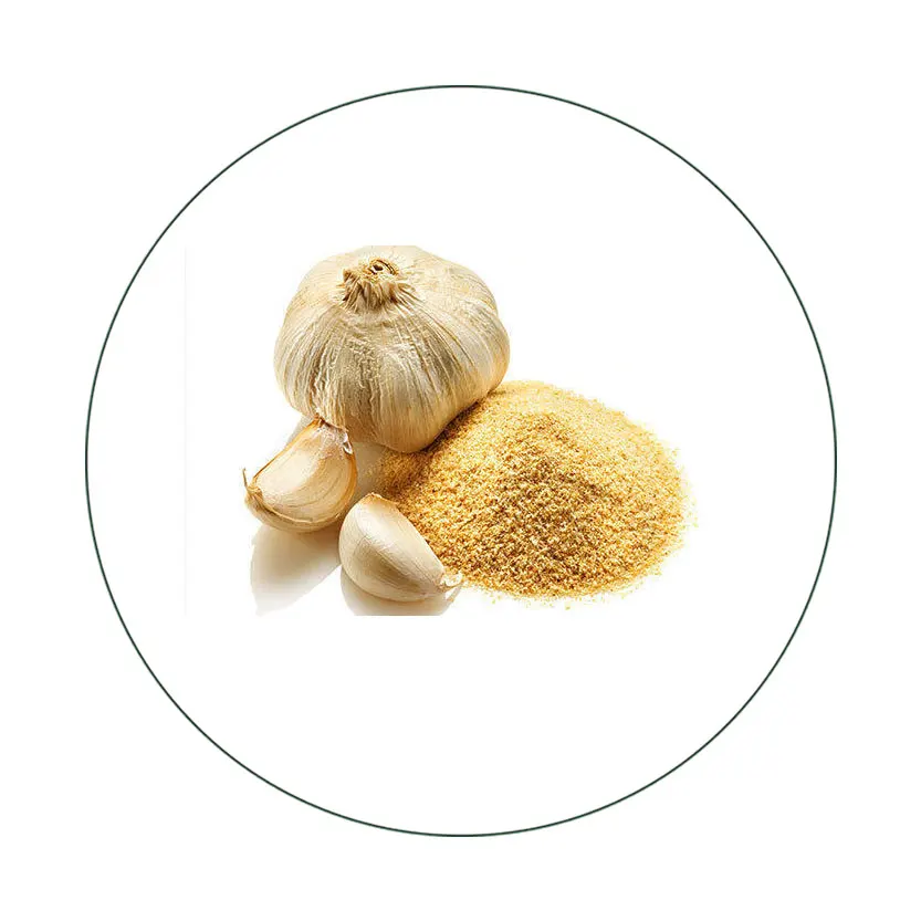 Garlic Powder Organic Bulk Garlic Powder Manufacturer
