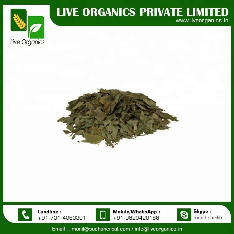 Organic Neem Leaf at Affordable Price