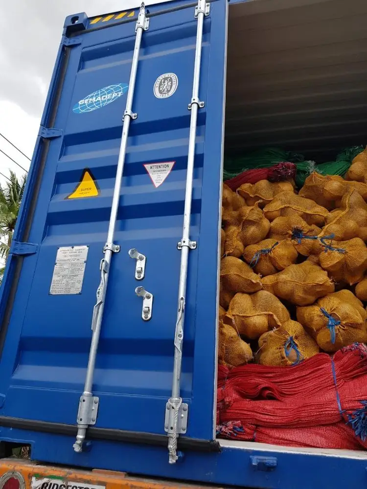 SEMI HUSKED MATURE COCONUT/ COCONUT FULL HUSKED/ FRESH MATURE COCONUT