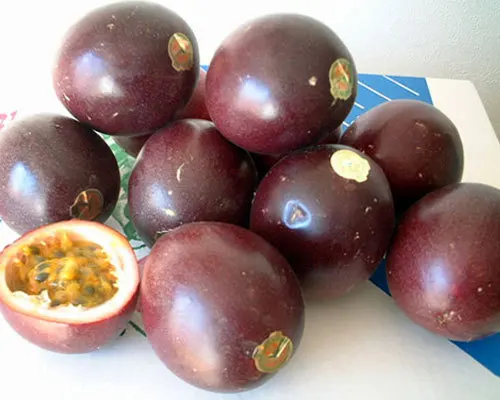 FRESH PASSION FRUIT high quality from Vietnam | BIG SALE 15% OFF | HOT DEAL 2023 | WHOLESALE VIETNAM