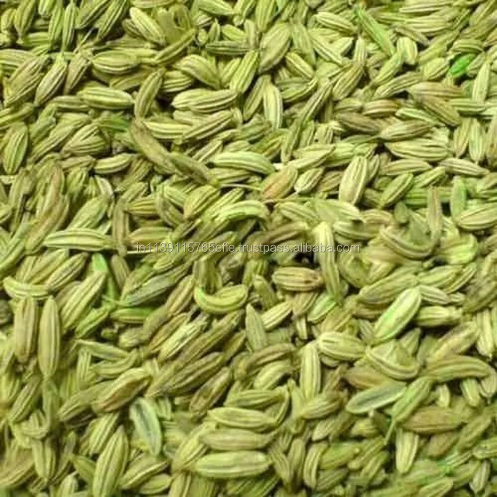 Fennel Seed - (Large)