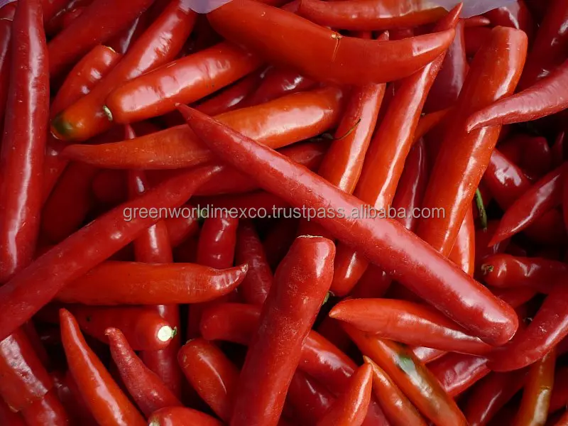 HOT PRICE WITH FRESH CHILLI  FOR GOLD QUALITY FROM VIET NAM