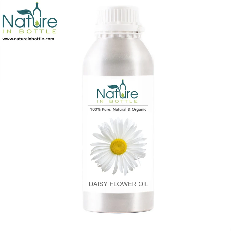 Daisy Infused Oil | Daisy Flower Oil | Bruisewort - Organic - 100% Pure and Natural Essential Oils - Wholesale Bulk Price