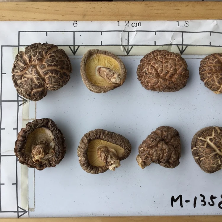 
japanese food wasyoku dietary fiber longevity umami cultivated raw organic shiitake mushroom dried 