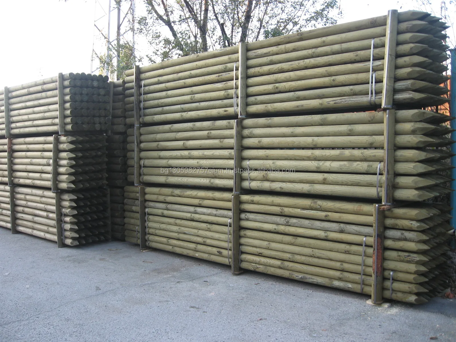 Sharp Point Wood Utility Poles coniferous, lathed and impregnated by high pressure vacuum