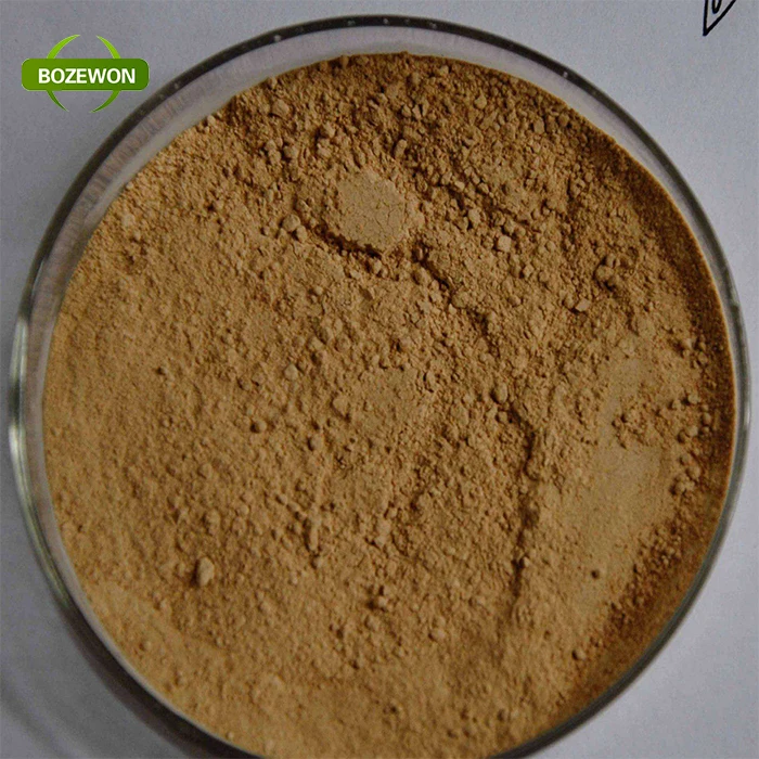 Экстракт coprinus comatus, экстракт ворсистых грибов 10%-50% Полисахариды