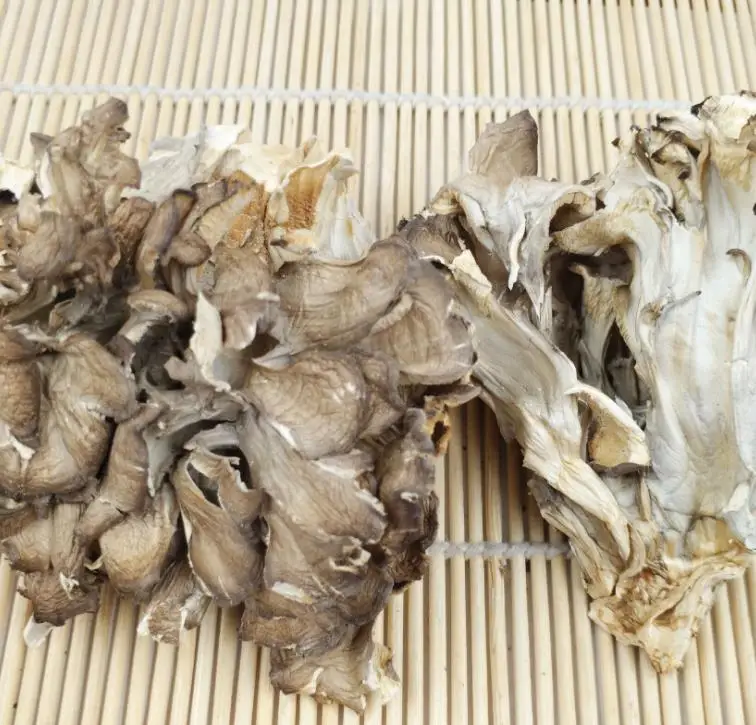 Natural dried Dancing Mushroom Grifola Hen of the Woods Shelf Fungi for food