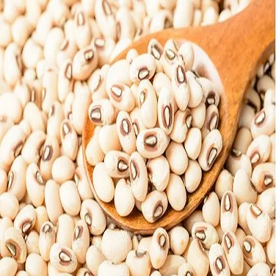 
new crop black eye bean/white cow pea bean for sale 