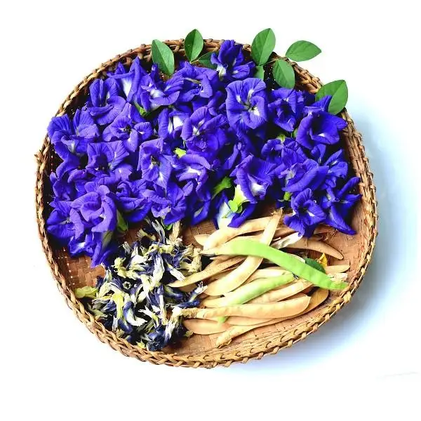 Dried Butterfly pea flower / OEM and Private Label / Organic Certificate / Origin From Thailand / no pesticide / Herbal Tea