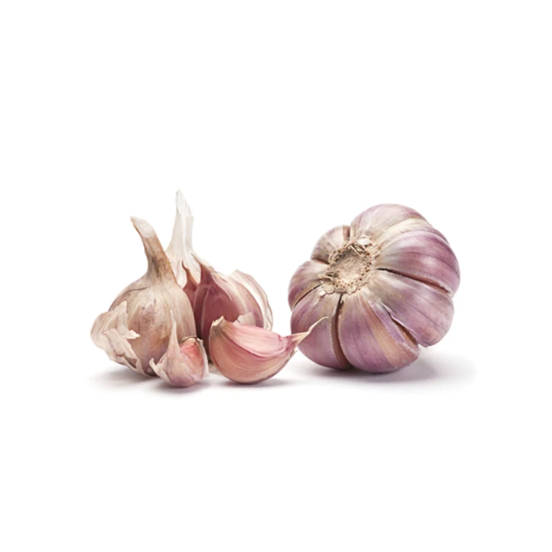 Natural Fresh Garlic Supplier Available Affordable Price