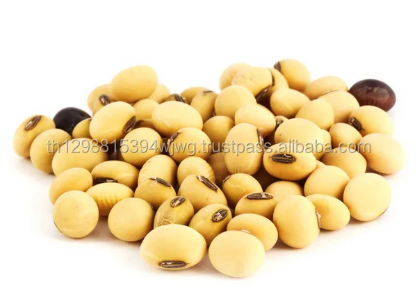 organic green agriculture products natural yellow soybean