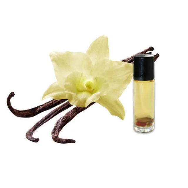 Factory Price High Quality Vanilla Beans Essential Oil at Best Price from India