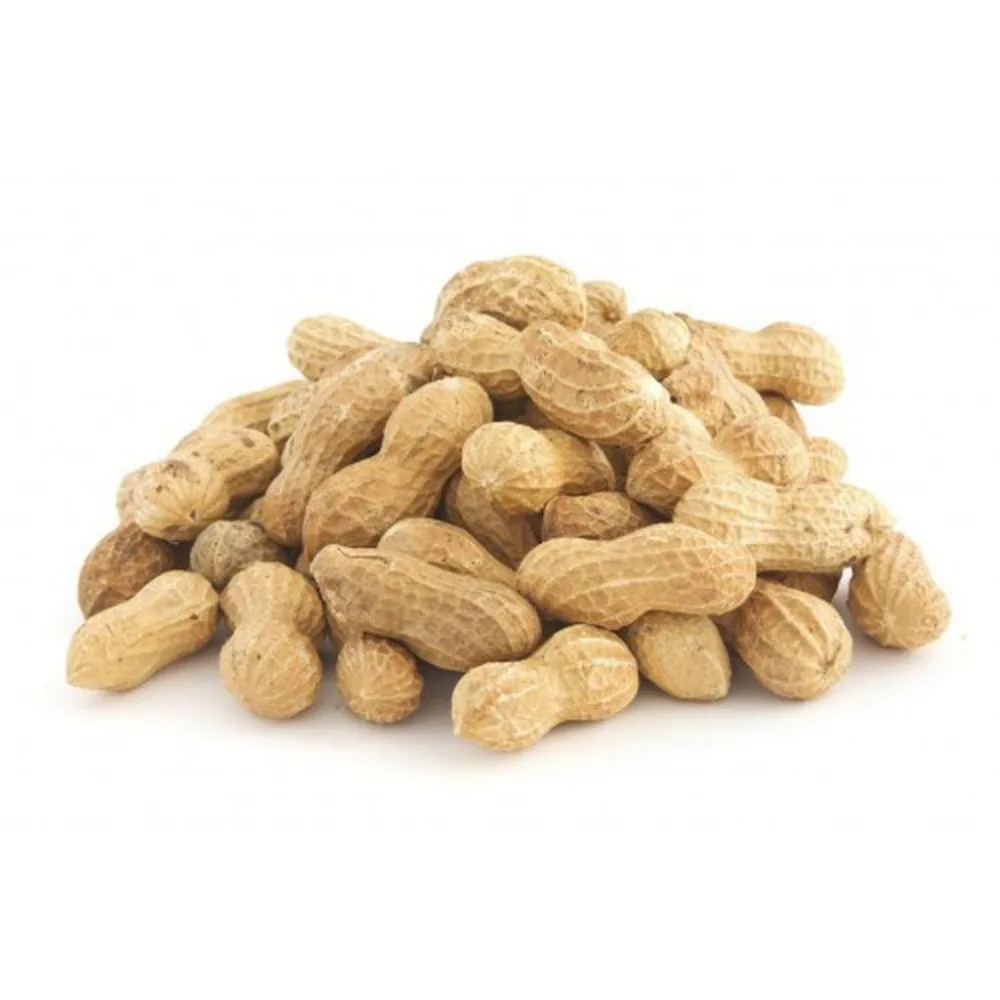 Dry Roasted Peanut - blanched peanut kernels - peanut in shell - raw groundnut