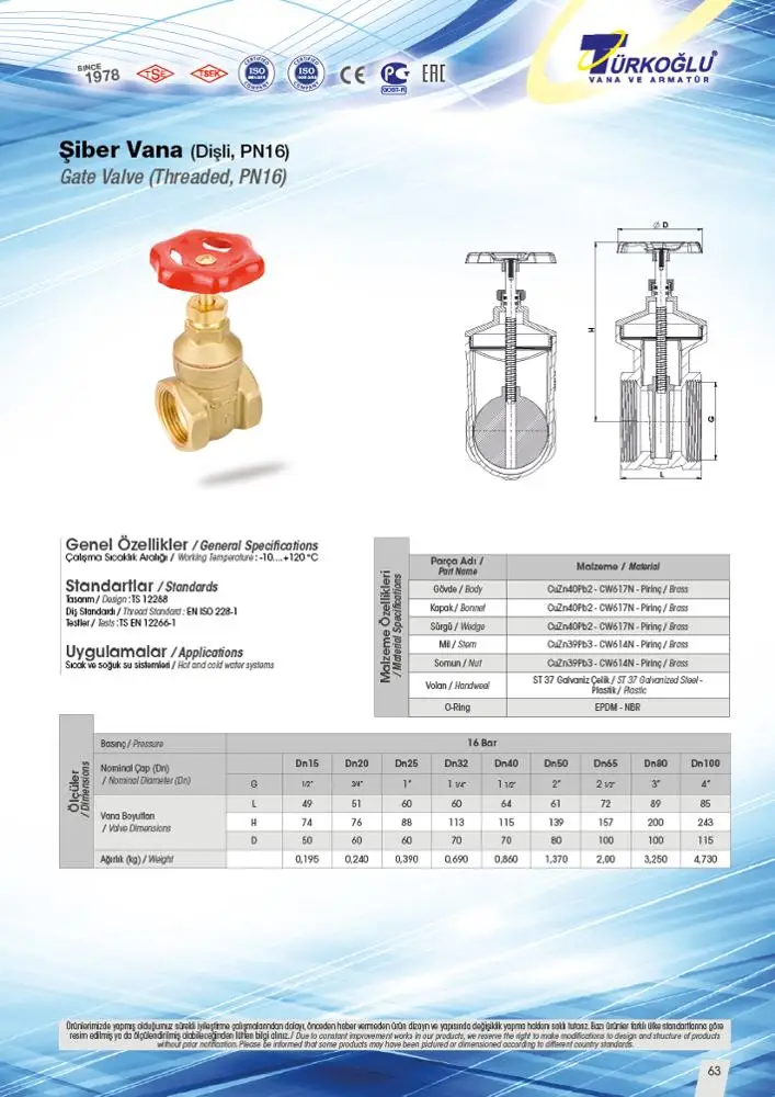 DN100 Gate Valve