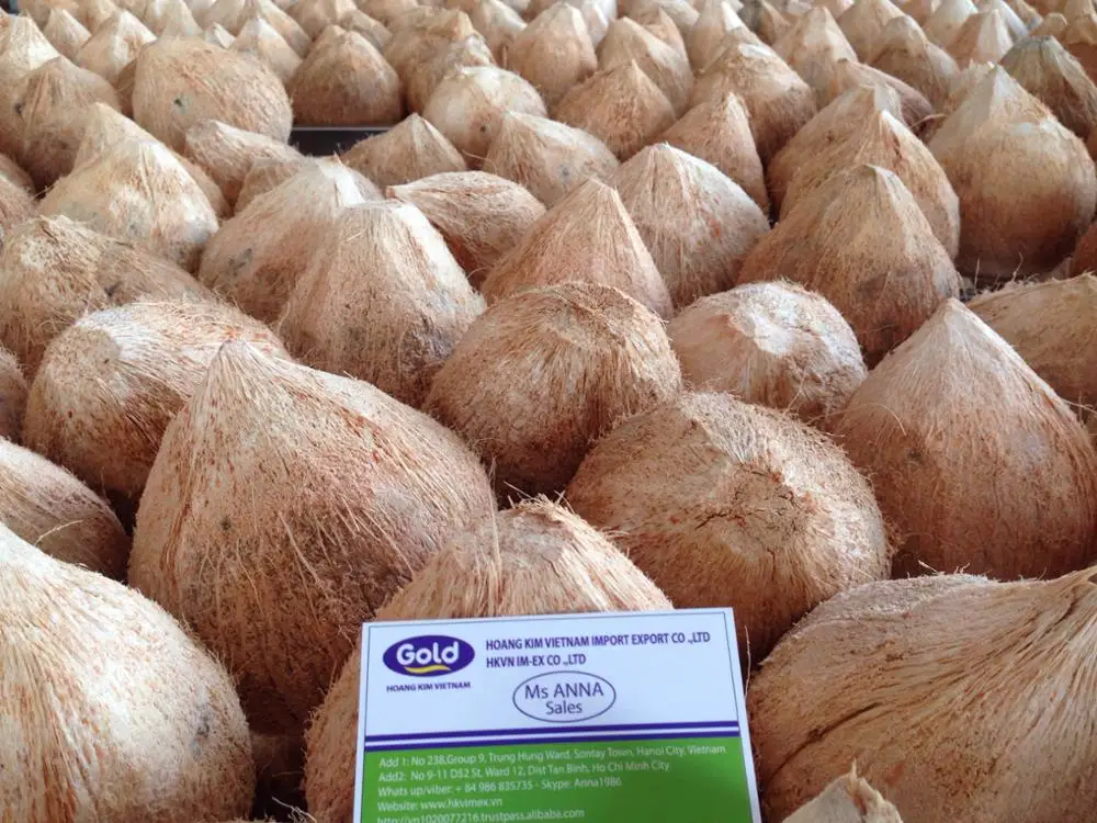 Свежий кокос