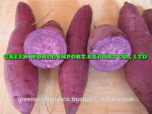 ORGANIC PURPLE SWEET POTATO _ GOOD PRICE _ HIGH QUALITY