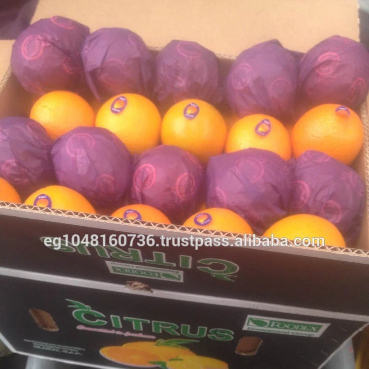 Fresh Citrus fruits, Lemon , Oranges, Grapes fruits , Mandarin